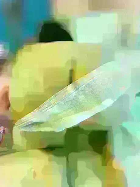 ミヤのブログ マシュマロ