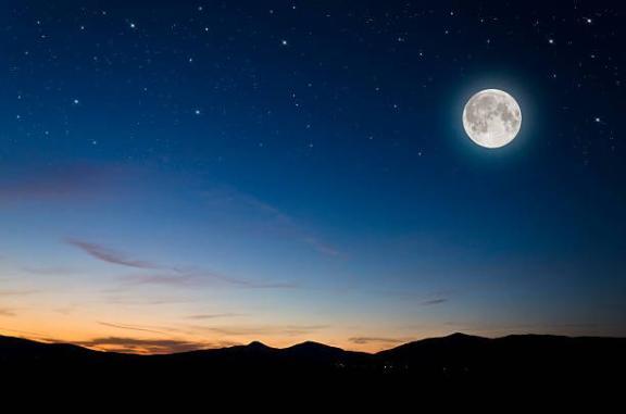 おやすみ🌙