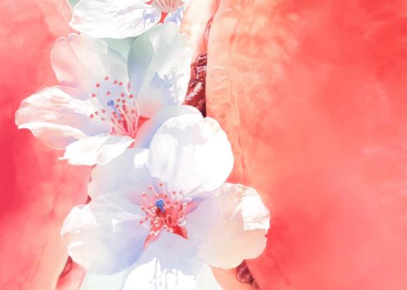 かや【18禁日記更新中】エススタイルクラブ