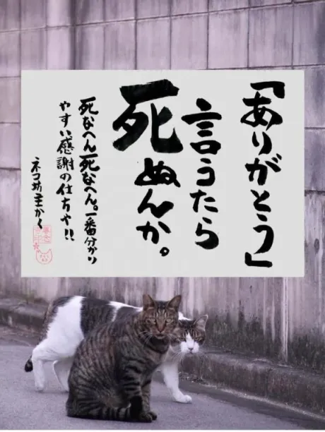 シオン人妻生レンタルーNTRー