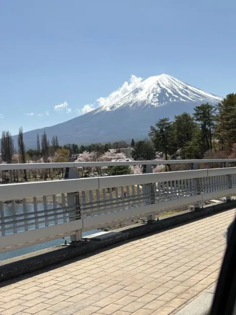 お礼/若菜（わかな）