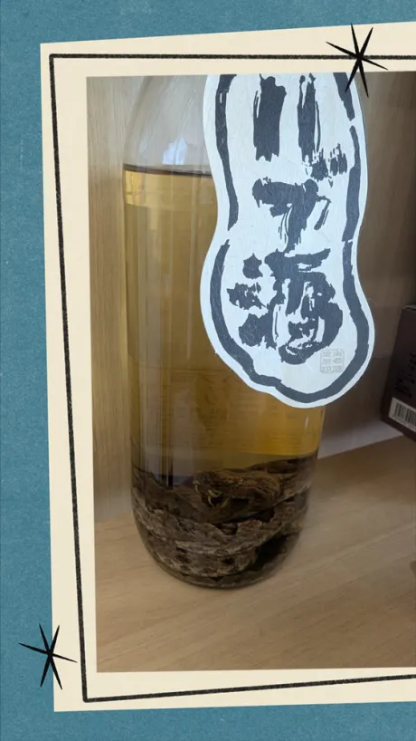 急遽、本日出勤です 😊💖/サキ【EDENコース】青森・弘前出勤