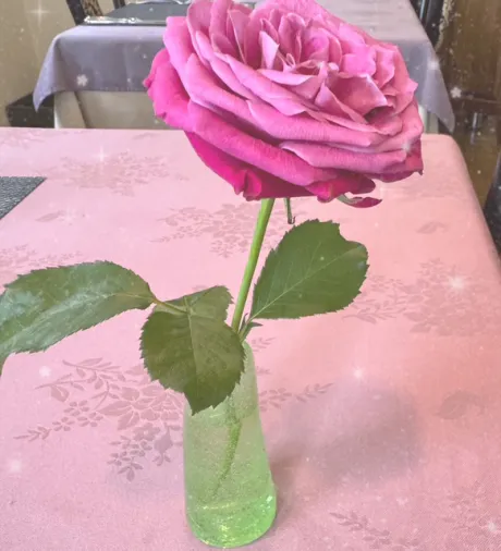 ももこです(^з^)昨日ありがとうございました/ももこ
