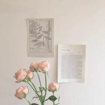 【お礼写メ日記】/一華(いちか)