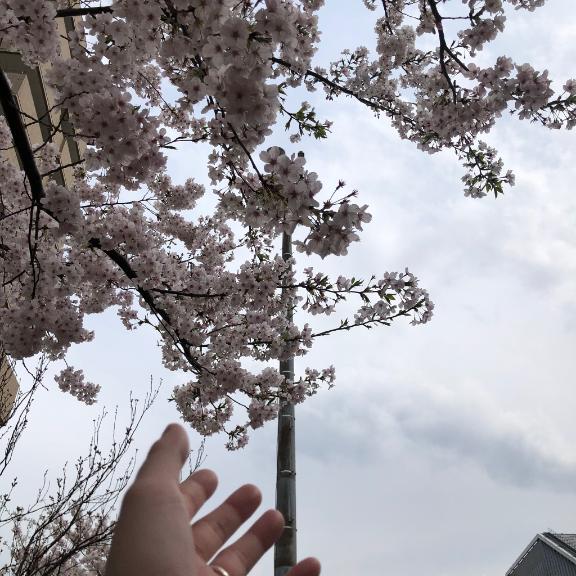 あえぎ声‪·͜·❤︎‬