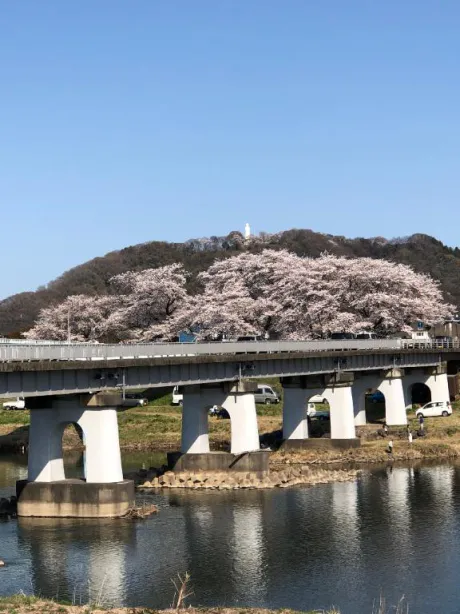ましろ　奥様SUTEKIな奥様は好きですか？