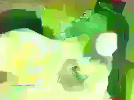 ネネのブログ 💞