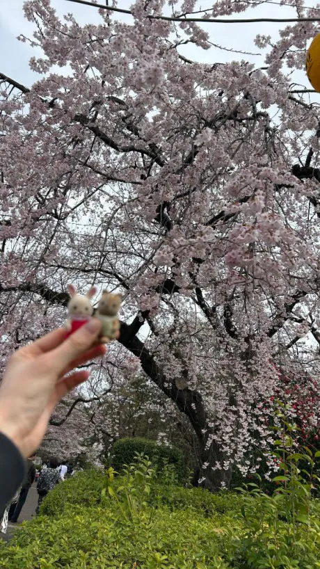ふみエススタイルクラブ
