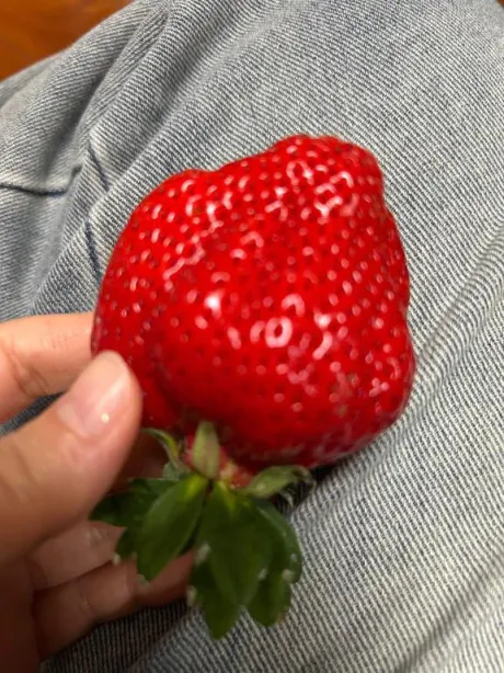 なぎさREGALO 久留米店