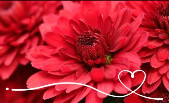 変更の お知らせ