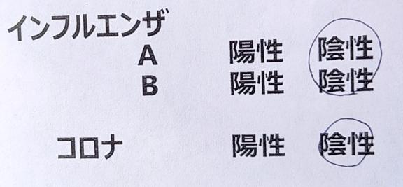 とりあえず陰性でした🥺