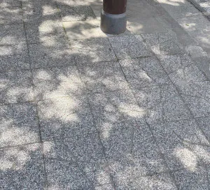 日陰