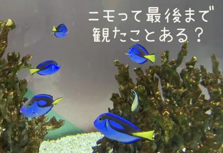 ☆きみえ奥様club生奥様～福島店～