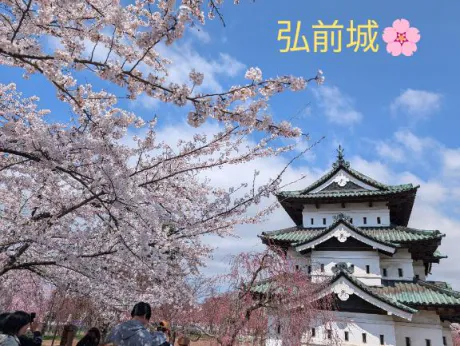 まいか奥様メモリアル