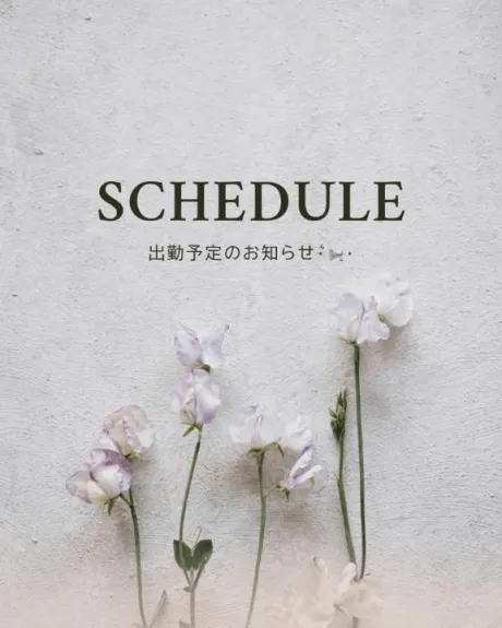 ヒヨリのブログ 予定︎︎𓂃⟡.·