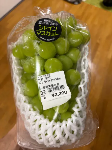果物はお好きですか❔
