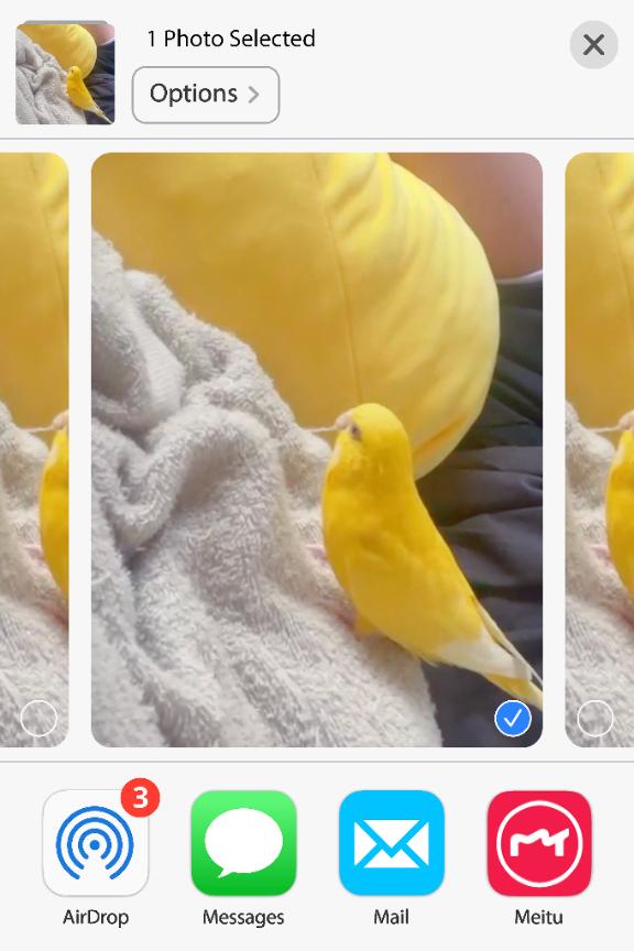 しおり素敵な女の子は好きですか?