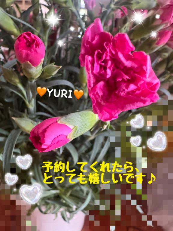 出勤します🐾