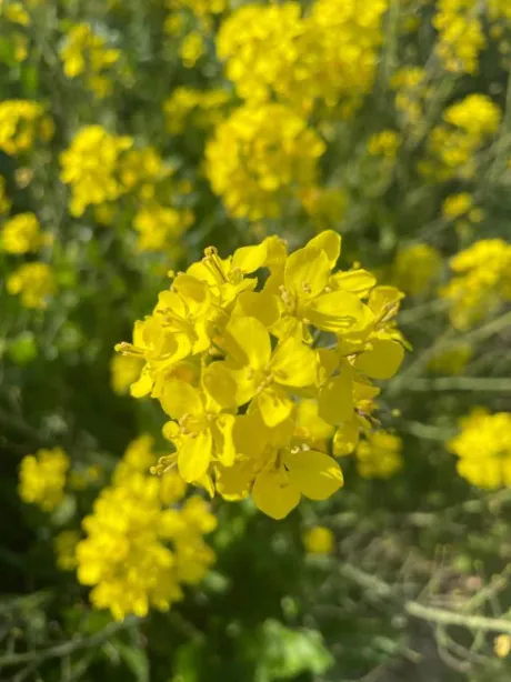 04/28 11:24あやか