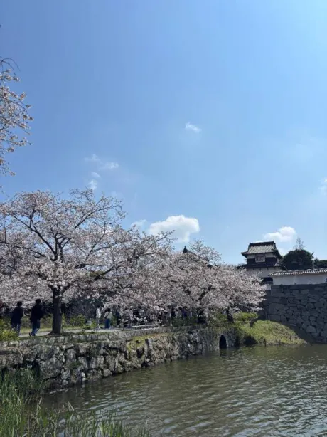 🌸~~😌✨✨/りいこ