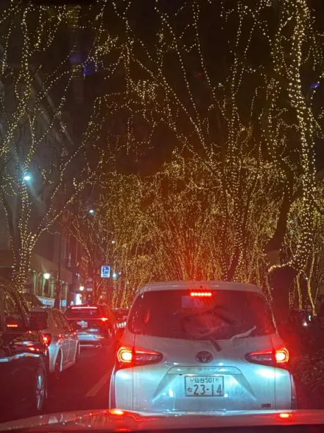 ここあ即プレイ専門店　性の極み