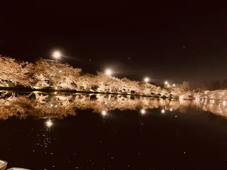 出勤しました/あかね