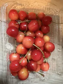 満了🐝/アイカ【弘前】期待を超える驚愕美貌