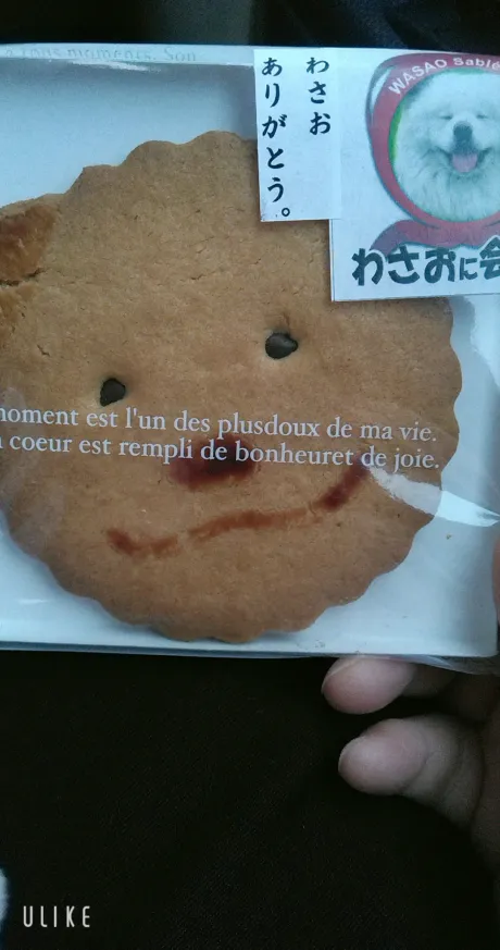 ドライブ日和/Newりか【弘前】(A舐め・AF可)