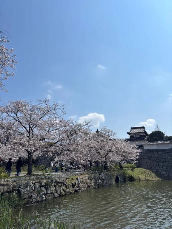 りいこのブログ 🌸~~😌✨✨