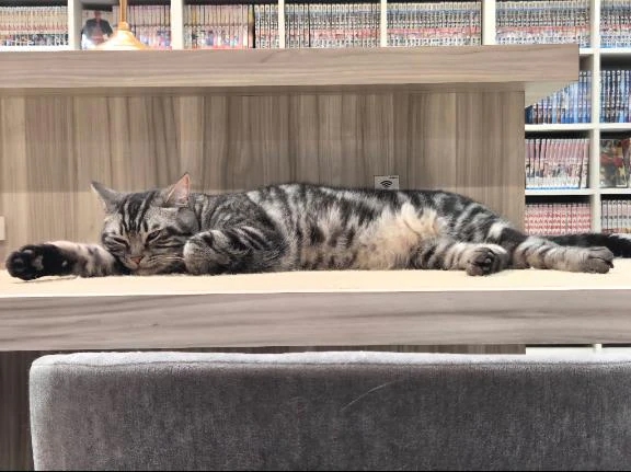 ゆあ仙台回春性感マッサージ倶楽部