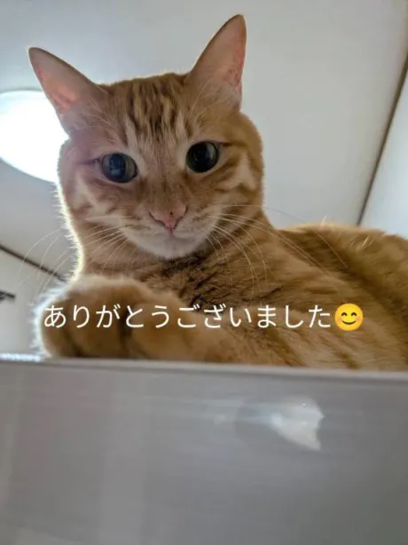 昨日は有難うございます😊/あじしお青森8/3入店
