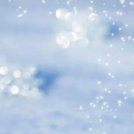 プリウスのお兄さん‼︎/新人　ほのか