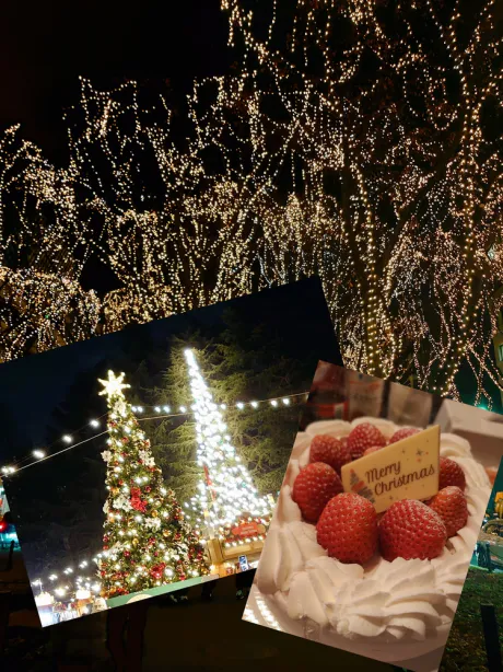 (⁠ ☆ ⁠ ▽ ⁠ ☆⁠)/つかさ[青森/大釈迦/弘前]