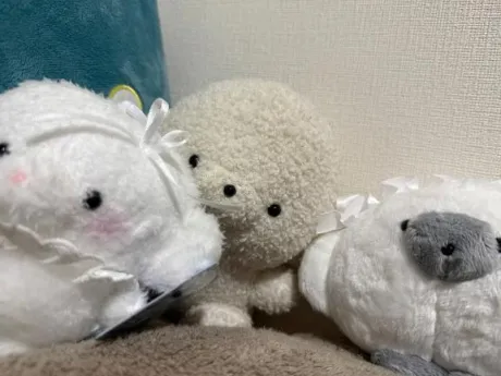体験入店 ほむら3年H組