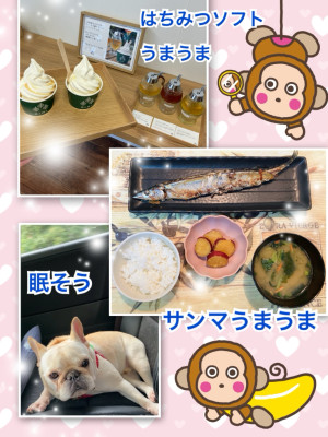 カラダのサイン