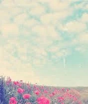 お礼❁⃘*.ﾟ本日も出勤します♪