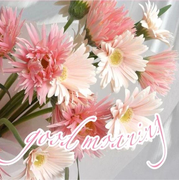 いずみ★色気漂う艶やかな熟女隣の人妻お口で愛して