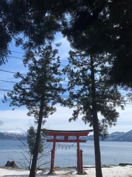 さりDeliysCure仙台