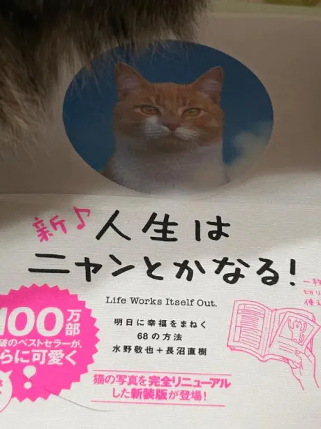 なぎさREGALO 久留米店