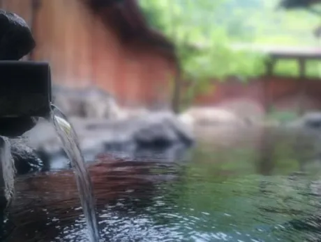 ジュンセレブガーデン