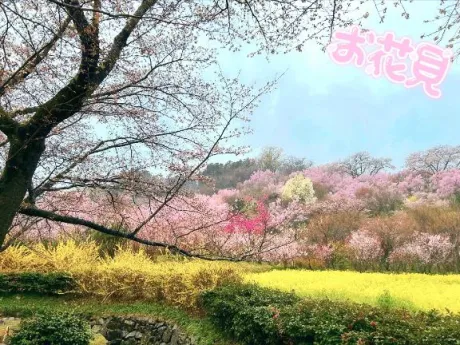 かえで愛 LAND-アイランド-