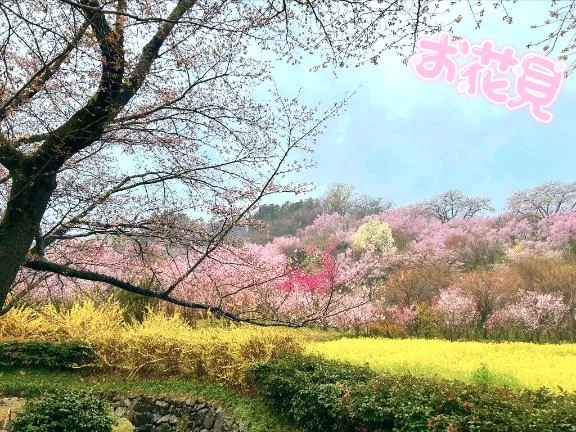 かえで愛 LAND-アイランド-