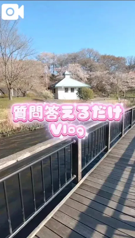 【動画】質問Vlog【お花見】/ゆう