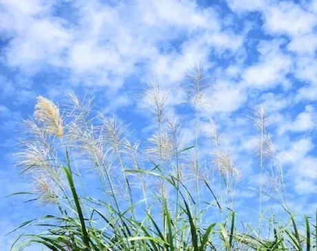 到着(*^-^*)/鈴夏(すずか)