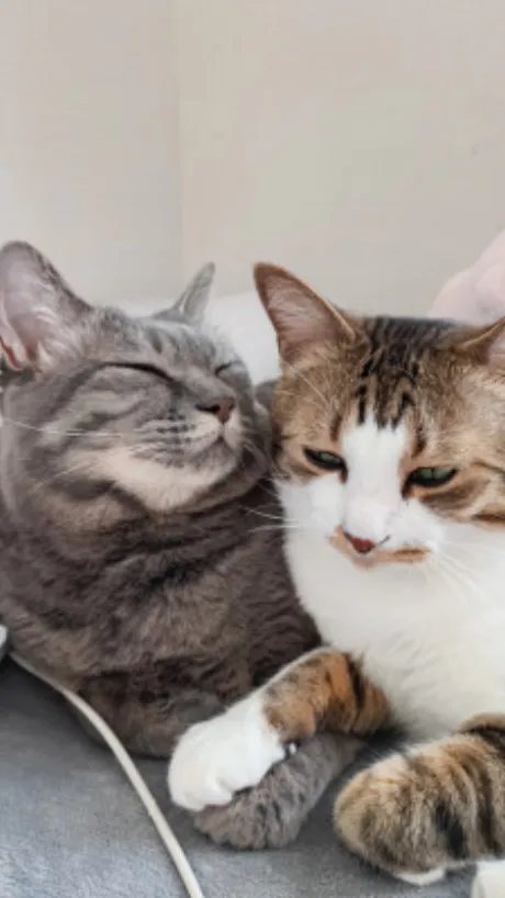 ゆうな 奥様仙台人妻セレブリティー