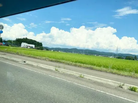 ももな即プレイ専門店　性の極み