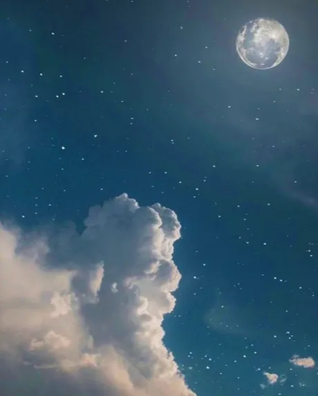 おやすみなさい🌙/さな【弘前黒石大釈迦】