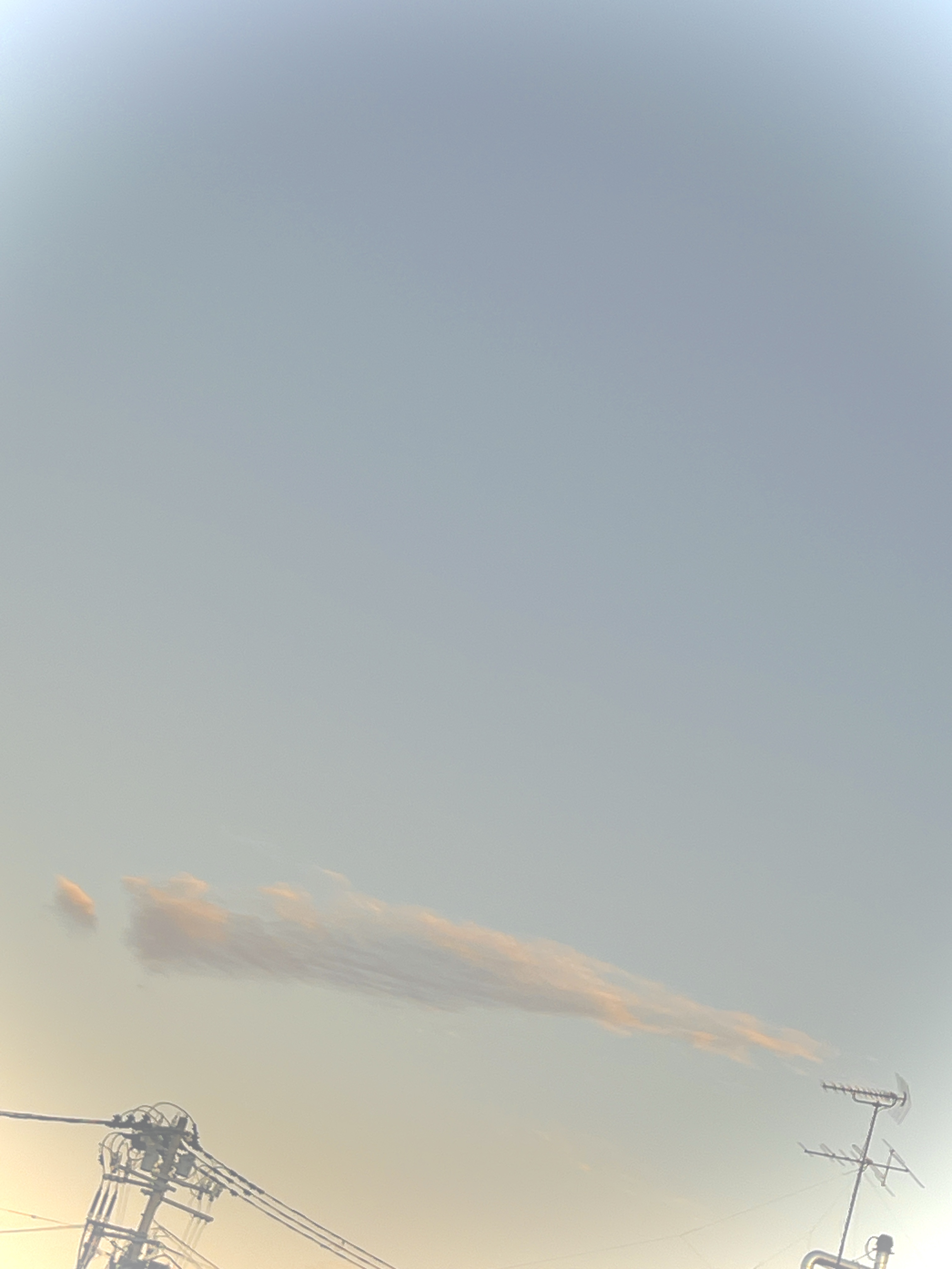 9月16日
