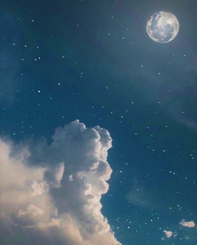 おやすみなさい🌙