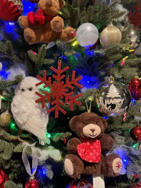 性なる夜までもう少し/りの